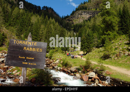 Italien Trentino Stelvio national Park Stream Rabbies und Wasserfälle Saent Stockfoto