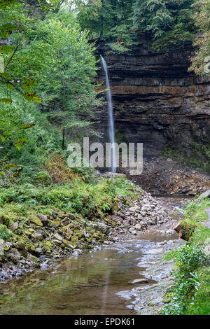 Großbritannien, England, Yorkshire.  Hardraw Kraft, Hardraw Narbe, längste Einzel-Tropfen Wasserfall in England. Stockfoto