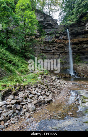 Großbritannien, England, Yorkshire.  Hardraw Kraft, Hardraw Narbe, längste Einzel-Tropfen Wasserfall in England. Stockfoto