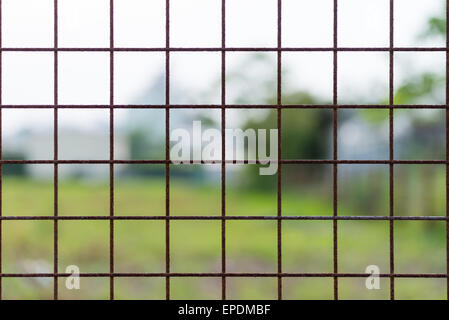 Einen rostigen Drahtzaun bilden ein Muster aus Quadraten mit einem verschwommenen Natur Hintergrund. Stockfoto