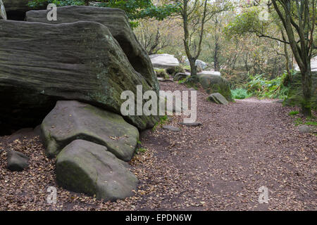 Großbritannien, England, Yorkshire.  Brimham Rocks, ein nationales Vertrauen Lage. Stockfoto