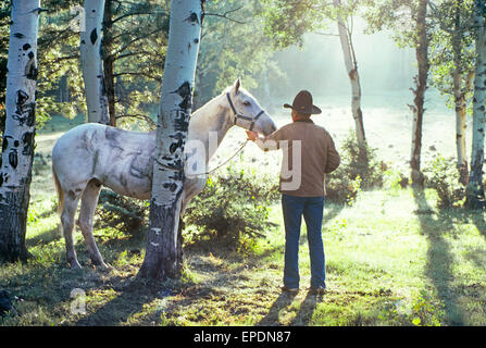 Am frühen Morgen in die Espe Wald hoch in die Tusas Berge des nördlichen New Mexico. Ein Cowboy bereitet sein Pferd den Tag bei einem Almabtrieb. Stockfoto