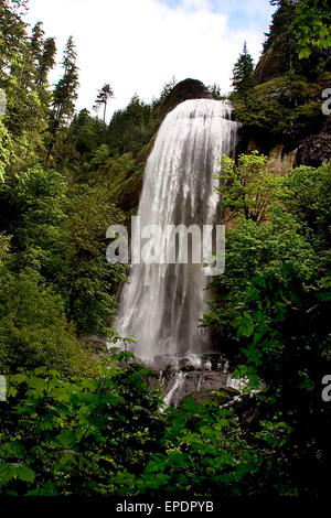 Silber fällt im Golden und Silver Falls State Natural Area, Oregon Stockfoto