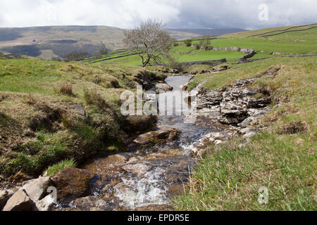 Yorkshire Dales, England. malerischen Blick auf einer Der cray Wasserfällen, die ist ein Nebenfluss des Flusses wharfe. Stockfoto