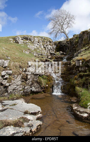 Yorkshire Dales, England. malerischen Blick auf einer Der cray Wasserfällen, die ist ein Nebenfluss des Flusses wharfe. Stockfoto