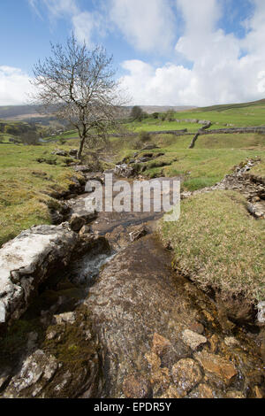 Yorkshire Dales, England. malerischen Blick auf einer Der cray Wasserfällen, die ist ein Nebenfluss des Flusses wharfe. Stockfoto