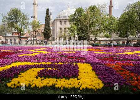 Die größte und längste Tulpe Teppich der Welt in Sultanahmet, Istanbul Stockfoto