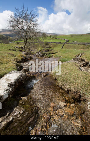 Yorkshire Dales, England. malerischen Blick auf einer Der cray Wasserfällen, die ist ein Nebenfluss des Flusses wharfe. Stockfoto