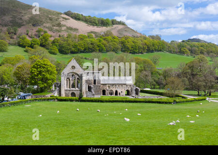 Valle Crucis Abbey, in der Nähe von Llangollen, Denbighshire, Wales, UK Stockfoto