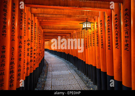 Die Tore in der Fushimi Inari-Schrein in Kyoto, Japan Stockfoto