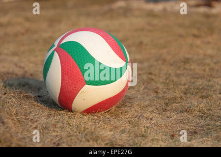 Alten drei farbigen Ball für Volleyball auf einer Wiese liegen. Stockfoto