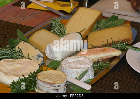 Sortiment von verschiedenen Arten von hart- und Weichkäse mit Basilikum-Dekorationen Stockfoto