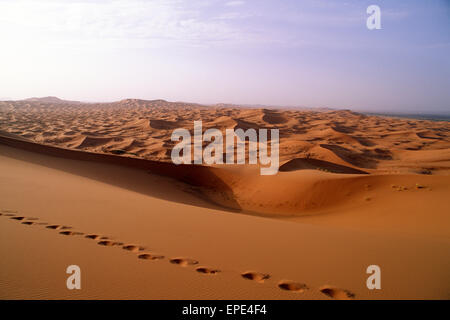 Marokko, Sahara-Wüste, Merzouga, Erg Chebbi Sanddünen Stockfoto