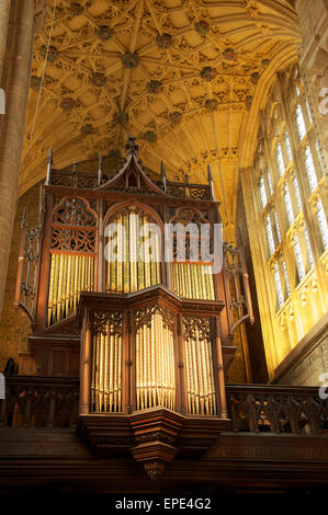 Architektur der Kirche. Die reich verzierten viktorianischen Orgelpfeifen und Teil des prächtigen historischen gewölbte Decke von Sherborne Abbey in Dorset, England, UK. Stockfoto