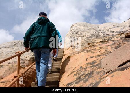 Bob die Nachhut beim Treppensteigen, Sandstein Gesicht New-Mexico - USA. Stockfoto