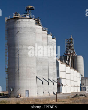 Reis-Lagersilos in Central Valley in Kalifornien Stockfoto