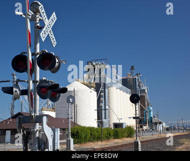 Reis-Silos in Central Valley in Kalifornien Stockfoto