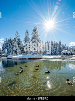 Winterzeit in Lenzerheide Stockfoto