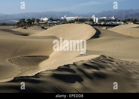 Dünen Maspalomas Dünen Naturreservat, das RIU Hotel hinter, Gran Canaria, Kanarische Inseln, Spanien Stockfoto