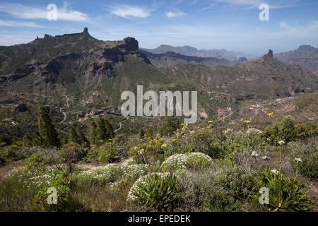 Blick vom Cruz de Tejeda bis zu den Bergen, Barranco de Tejeda und Roque Bentayga, Gran Canaria, Kanarische Inseln, Spanien Stockfoto