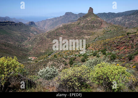Blick vom Cruz de Timagada in Richtung Roque Bentayga, blühende Vegetation, Gran Canaria, Kanarische Inseln, Spanien Stockfoto