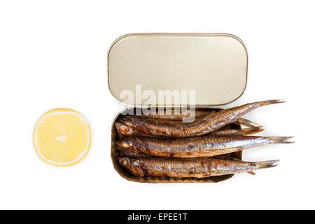 Öffnen können mit Sardinen isoliert auf weißem Hintergrund, Ansicht von oben mit Zitronenscheibe isoliert auf weißem Hintergrund. Stockfoto