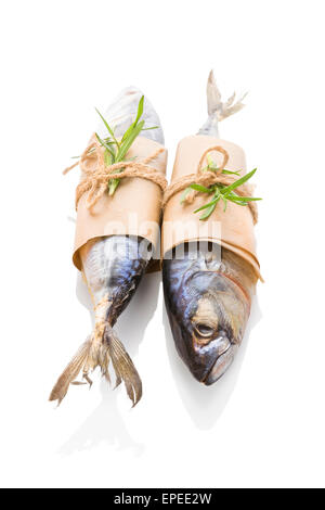 Frische Makrele Fisch isolierten auf weißen Hintergrund. Kulinarischen Meeresfrüchte essen. Stockfoto