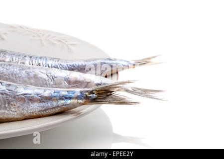 Luxuriöse Meeresfrüchte Hintergrund. Fischschwänze auf Platte isoliert auf weißem Hintergrund. Stockfoto