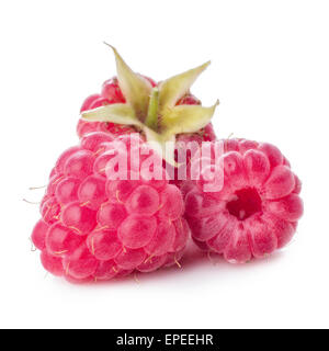 Frisch gepflückten Himbeeren auf weiß Stockfoto