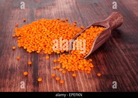 Rote Linsen auf Holzlöffel auf dunklem Holz. Gesunde Hülsenfrüchte essen. Stockfoto