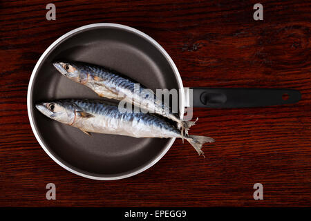 Frische Makrele Fisch auf Pfanne auf braunem Holz Holz Hintergrund. Mediterrane Meeresfrüchte essen. Stockfoto