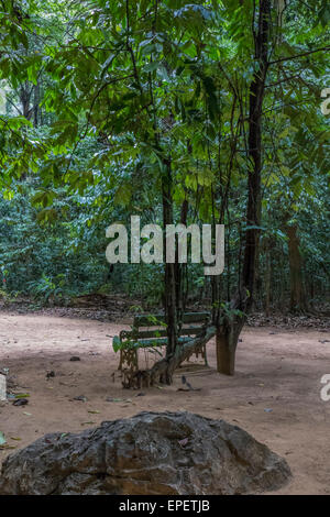 Regenwald, Dschungel Tiger Cave Tempel, Wat Tham Sua, Krabi, Thailand, Asien Stockfoto