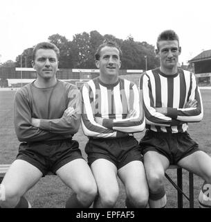 Southampton FC Vorsaison Fototermin, 13. August 1964. Von links nach rechts. T Godfrey, T Traynor, D Paton. Stockfoto
