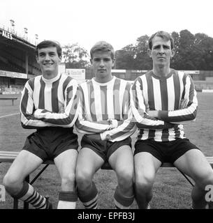 Southampton FC Vorsaison Fototermin, 13. August 1964. Von links nach rechts. M-Judd, S Russell, D Burnside. Stockfoto