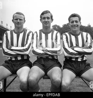 Southampton FC Vorsaison Fototermin, 13. August 1964. Von links nach rechts. Ich W Hite, N Dean R Wilkens. Stockfoto