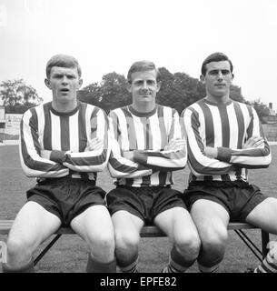 Southampton FC Vorsaison Fototermin, 13. August 1964. Von links nach rechts. T-Hase, Chadwick D, D-Norman. Stockfoto