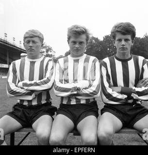 Southampton FC Vorsaison Fototermin, 13. August 1964. Von links nach rechts. Ein Moffett, J Trearust, Mick Channon. Stockfoto