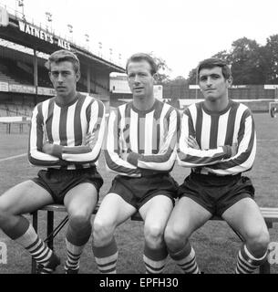 Southampton FC Vorsaison Fototermin, 13. August 1964. Von links nach rechts. M Chivers, J McGuigen J Sydenham. Stockfoto