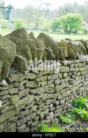 Eine gut gepflegte typische Cotswold-Stil Trockenmauer um ein Feld am Stadtrand von Cirencester, Gloucestershire, England UK Stockfoto