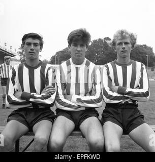 Southampton FC Vorsaison Fototermin, 13. August 1964. Von links nach rechts. R-McCarthy, M Ellard, ich McGann. Stockfoto