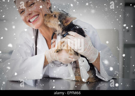 Zusammengesetztes Bild Welpen küssen weiblichen Tierarzt Stockfoto