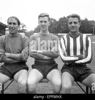 Southampton FC Vorsaison Fototermin, 13. August 1964. Von links nach rechts. J Hollowbread, G Gunn, R Davis. Stockfoto