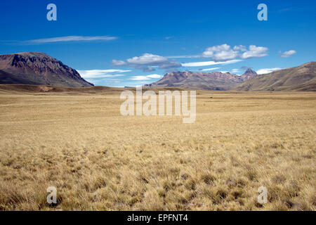 Grünland Patagonien Argentinien Stockfoto