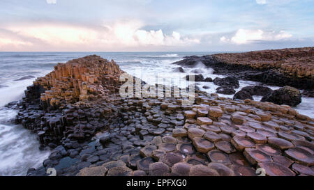 Die Giants Causeway in Nordirland Stockfoto