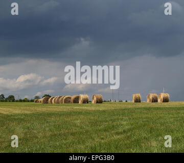 Gerollte Heu in einem grünen Feld Stockfoto
