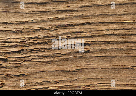 Woodgrain Stockfoto