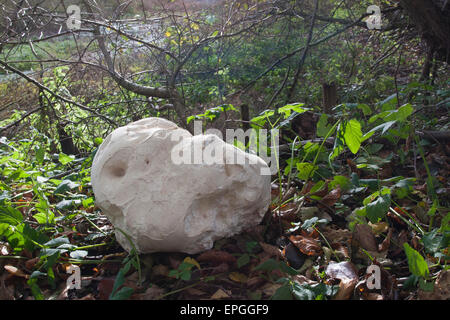 Giant Puffball, Puffball Mushroom, Riesenbovist, Riesen-Bovist, Riesen-Stäubling, Calvatia Gigantea, Langermannia gigantea Stockfoto