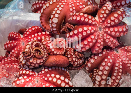 Red live Octopus in Tsukiji Fischmarkt, Tokio, Japan Stockfoto