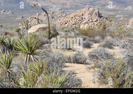 Ein Foto aus der Steinhaufen direkt an einen Abschnitt der Straße bekannt als Geologie Motor Tour im Joshua Tree National Park. Stockfoto