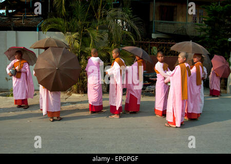 Eine Gruppe von acht rosa gekleidet Nonnen Almosen sammeln am frühen Abend in einem Dorf in der Nähe von Inle Lake Myanmar Stockfoto